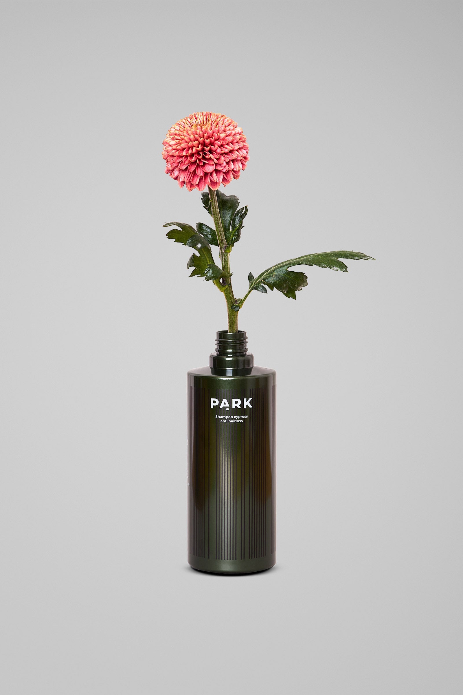 Cypress Shampoo – Sjampo mot hårtap