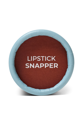 Coral reef vegan lipstick - Snapper